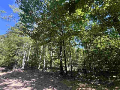 /international/us/tbd-matz-boyne-falls-mi-110108805620/