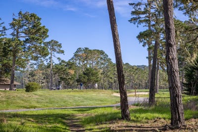 /international/us/1401-viscaino-rd-pebble-beach-ca-110105427119/