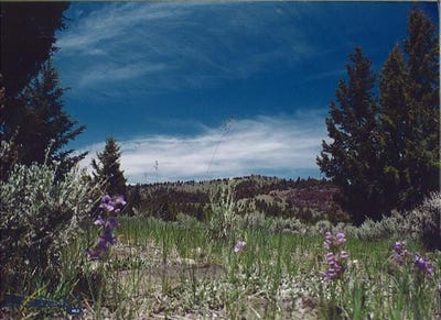 /international/us/lookout-trail-ramsay-mt-110101127158/?lang=zh-cn