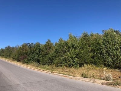 /international/us/kentucky-avenue-west-plains-mo-110108240252/