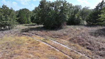 /international/us/sue-lane-somerville-tx-110089117453/