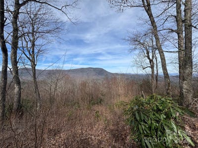 /international/us/l3-windy-gap-lane-sapphire-nc-110098403647/