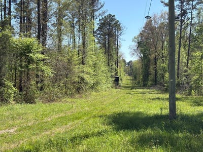 /international/us/364-cr-80-woodland-ms-110107356801/