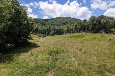 /international/us/cope-creek-road-sylva-nc-110100562393/