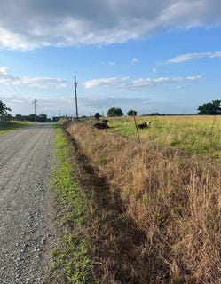 /international/us/tract-24-waymire-road-howe-ok-110101528178/