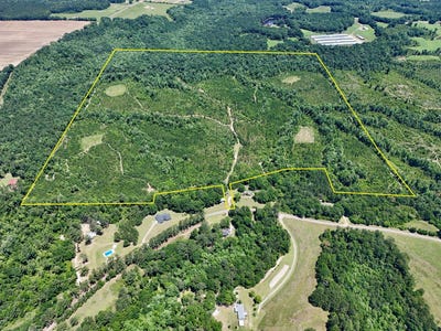 /international/us/county-road-325-troy-al-110108848359/