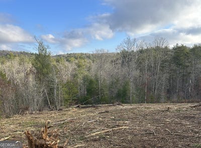 /international/us/lt37-blue-creek-road-morganton-ga-110103804639/