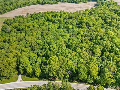 /international/us/0-15-20-acres-state-rt-156-waterloo-il-110099186416/
