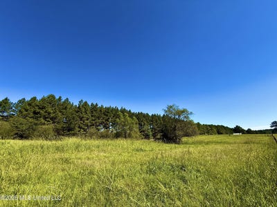 /international/us/206-barker-road-morton-ms-110120450313/