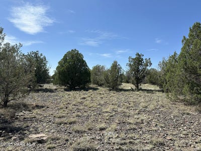 /international/us/124-dry-gulch-seligman-az-110100421514/
