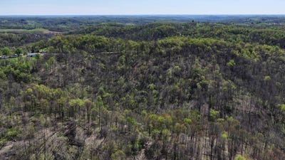 /international/us/59900-ramsey-ridge-road-jacobsburg-oh-110107586654/