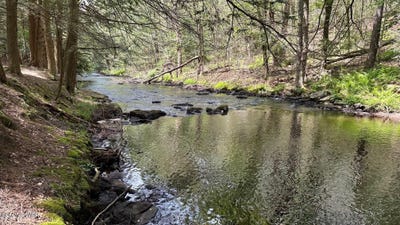 /international/us/lehigh-river-ct-gouldsboro-pa-110100851068/?lang=es