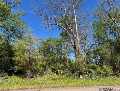 /international/us/lot-24-la-trace-rd-livingston-la-110106535046/