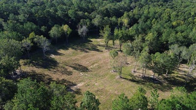 /international/us/727-crystal-lake-trail-huger-sc-110120082559/