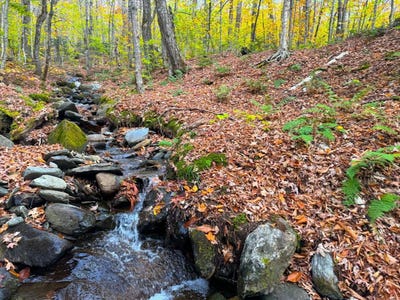 /international/us/cider-mountain-road-warren-vt-110087792499/