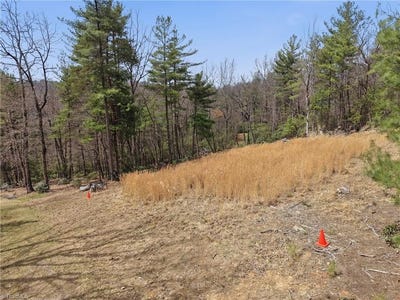/international/us/pepper-bush-road-lot-109-110-purlear-nc-110106923600/