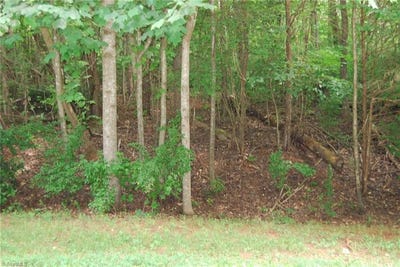 /international/us/4029-rookwood-lane-winston-salem-nc-110100770357/