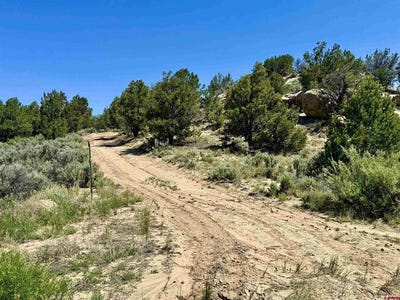 /international/us/163-cr-402-road-lindrith-nm-110100318571/