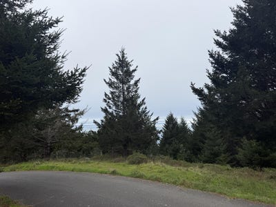 /international/us/95-vista-road-shelter-cove-ca-110106280990/