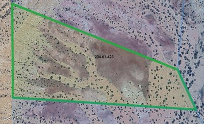 /international/us/lot-423-woodland-valley-ranch-st-johns-az-110095781021/