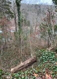 /international/us/indian-river-boat-dock-rd-jacksboro-tn-110090026400/