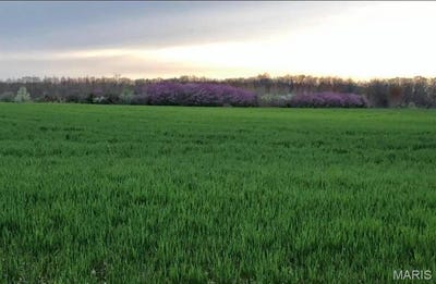 /international/us/0-kelley-ln-50-acres-jonesburg-mo-110096483900/