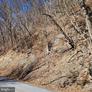 /international/us/0-millner-road-strasburg-va-110097935265/