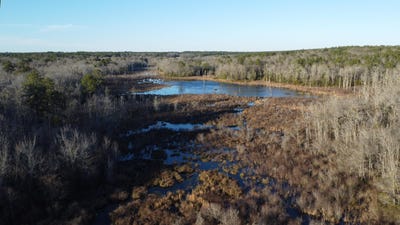 /international/us/millers-pond-road-wagener-sc-110104998429/