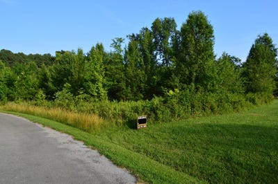 /international/us/1944-county-road-960n-fairfield-il-110100570250/?lang=zh-tw