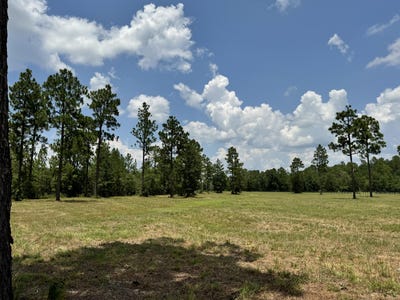 /international/us/8-72-acres-tandem-trail-windsor-sc-110093326405/