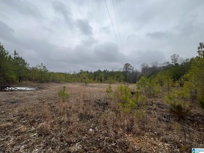 /international/us/0-clearbrook-lane-calera-al-110107720227/