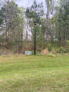 /international/us/n-a-blue-springs-bainbridge-ga-110100118594/