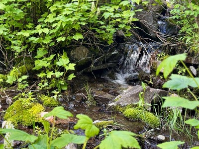 /international/us/912-muskrat-road-helmville-mt-110100343389/