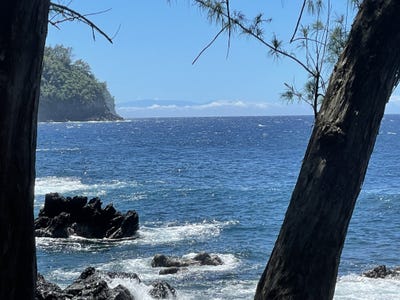 /international/us/36-1070-laupahoehoe-point-rd-laupahoehoe-hi-110092810970/