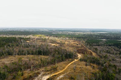 /international/us/-us-hwy-98-beaumont-ms-110104138812/