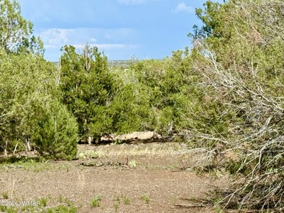 /international/us/8322-navajo-drive-show-low-az-110110300103/