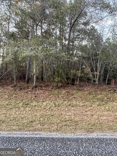 /international/us/canoochee-bypass-road-twin-city-ga-110103476402/