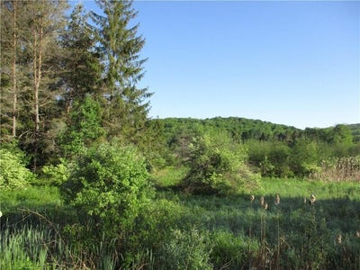 /international/us/lot-1-state-route-80-smyrna-ny-110096889802/?lang=en