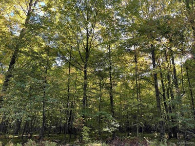 /international/us/porcupine-lake-road-lot-1-long-lake-wi-110110307083/