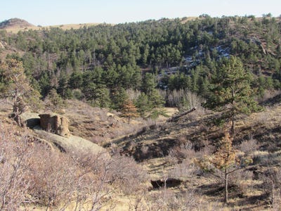 /international/us/1191-granite-springs-rd-cheyenne-wy-110099205648/
