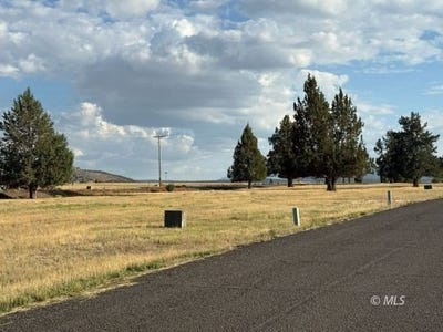 /international/us/mountain-view-dr-alturas-ca-110102924860/