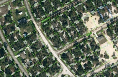 /international/us/412-tahiti-court-lake-placid-fl-110100923974/