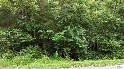 /international/us/2540-jim-clark-rd-new-haven-ky-110109759217/