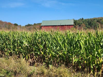 /international/us/0-county-road-38-guilford-ny-110102878110/