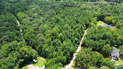 /international/us/3-5-acres-wilderness-way-athens-al-110101370407/