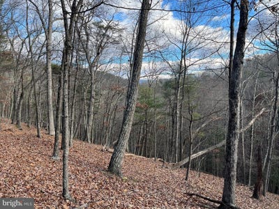 /international/us/cardinal-view-road-paw-paw-wv-110101215184/?lang=pt