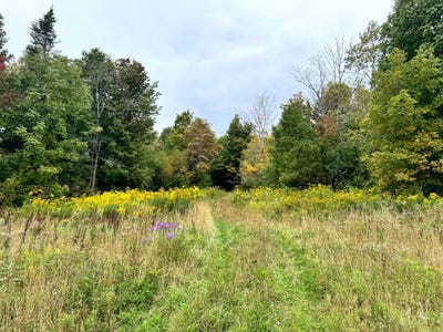 /international/us/1-9-mackay-road-west-turin-ny-110119958299/