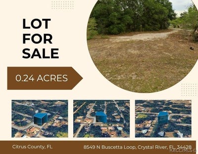 /international/us/8549-n-buscetta-loop-crystal-river-fl-110108860066/