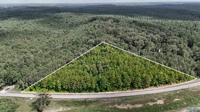 /international/us/4-8-acres-county-road-33-hamilton-al-110100480025/