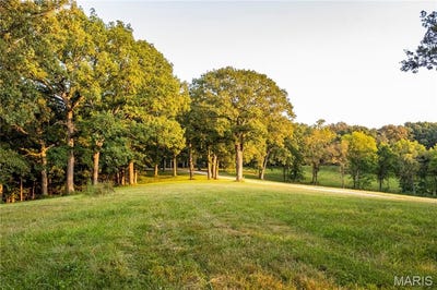 /international/us/0-highway-d-tract-6-22-acres-eolia-mo-110103257363/